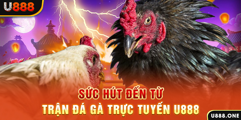 89win đá gà trực tiếp c1