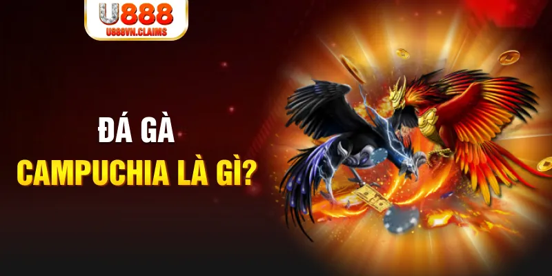89win bắn cá vàng h5