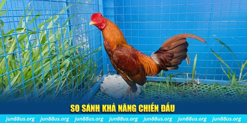 89win CQ9 Điện Tử