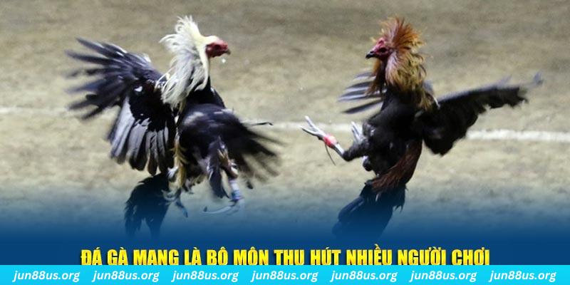 89win bắn cá au88