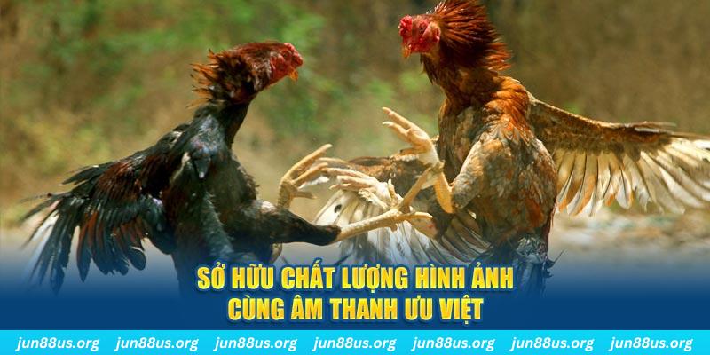 89win PP Điện Tử