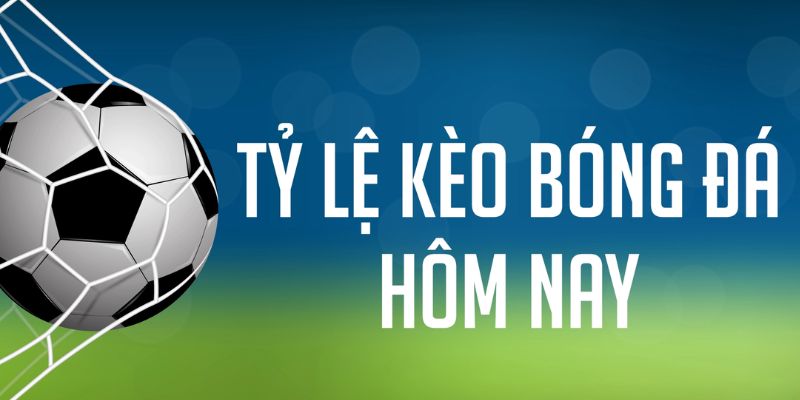 89win gà chọi c1 mới nhất