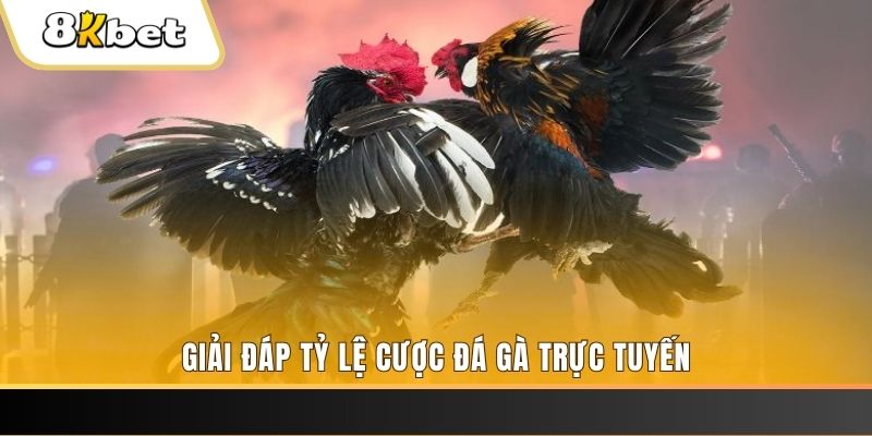 89win xổ số đài miền trung