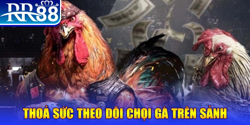 89win trực tiếp đá gà c1