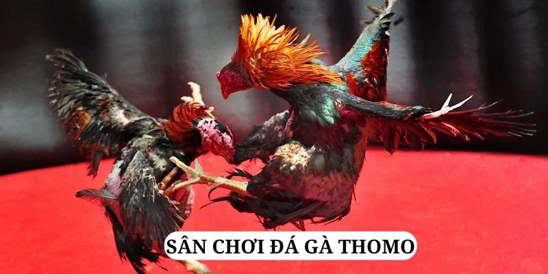 89win trực tiếp xổ số miền bắc